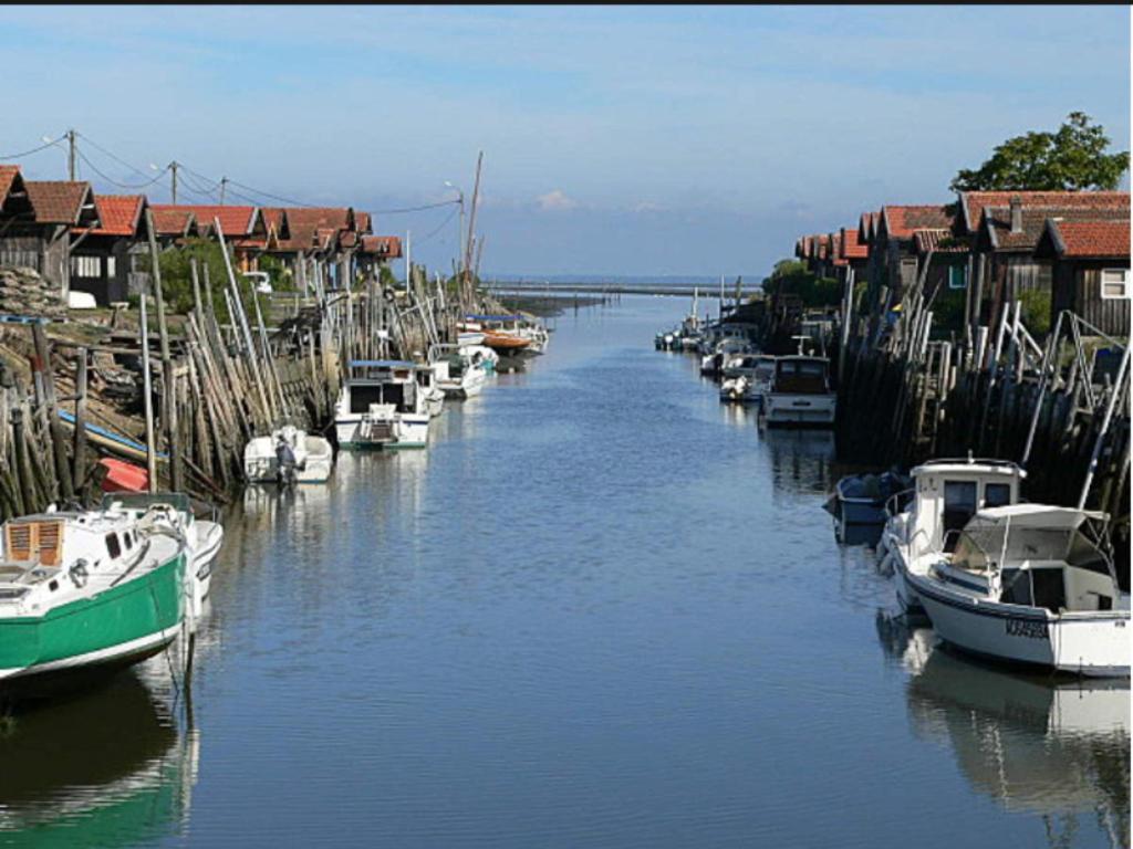 Les Lodges du Bassin d'Arcachon- Petit-déjeuner sur demande- Prestations haut de gamme Gujan-Mestras Exterior foto