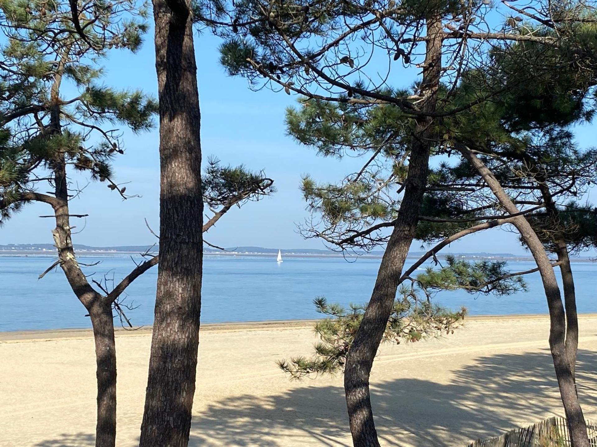 Les Lodges du Bassin d'Arcachon- Petit-déjeuner sur demande- Prestations haut de gamme Gujan-Mestras Exterior foto