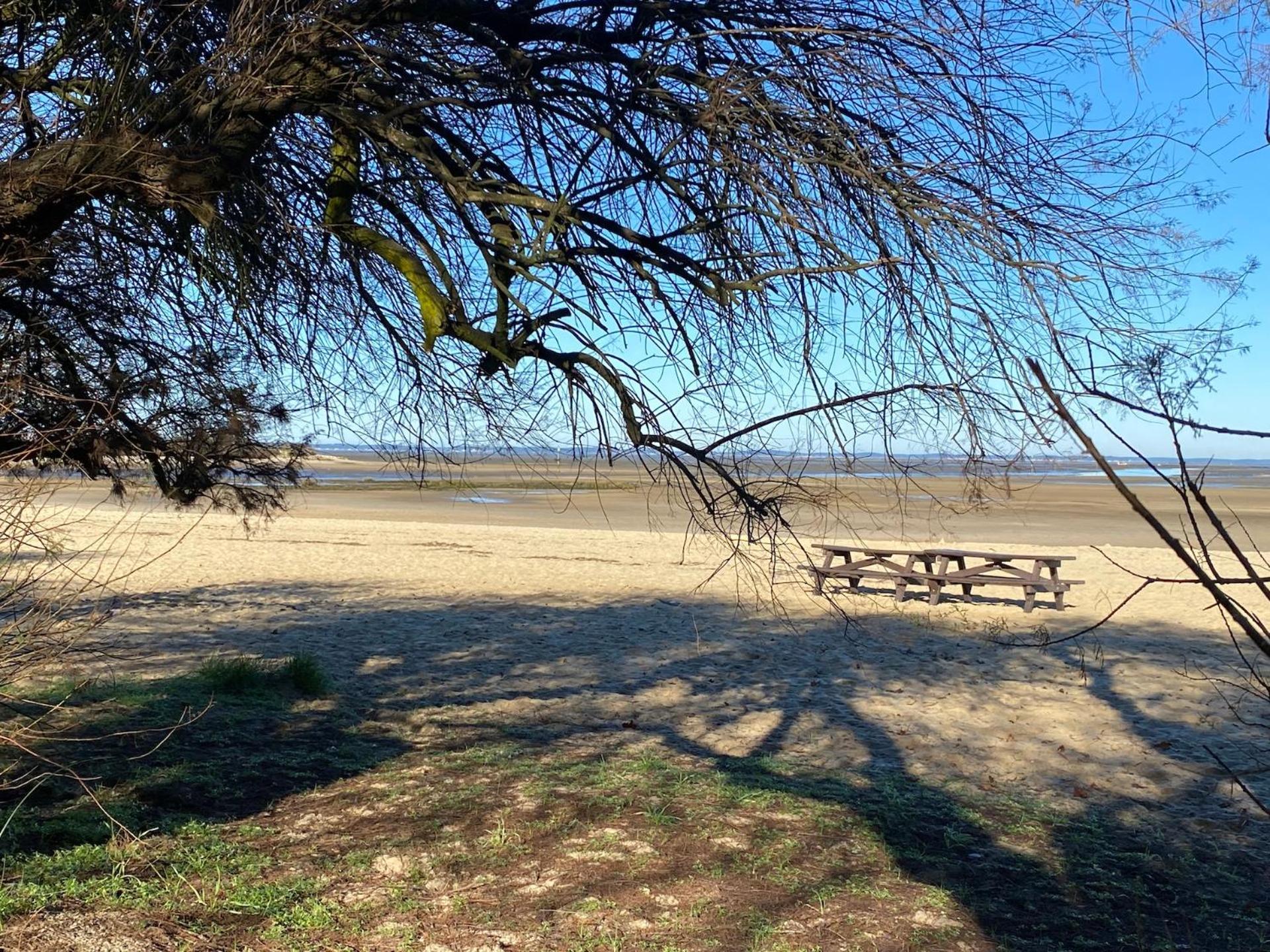 Les Lodges du Bassin d'Arcachon- Petit-déjeuner sur demande- Prestations haut de gamme Gujan-Mestras Exterior foto